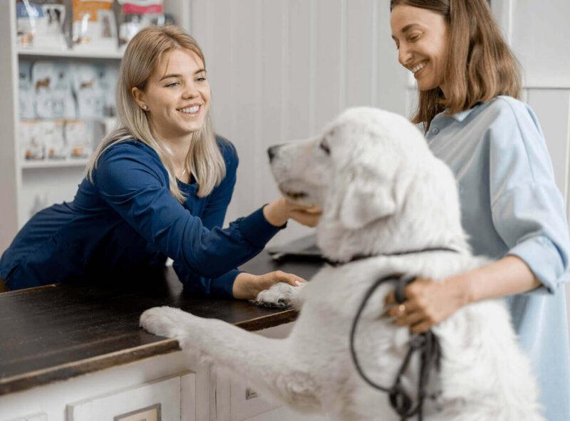 A team member talks to a pet owner and their pet.