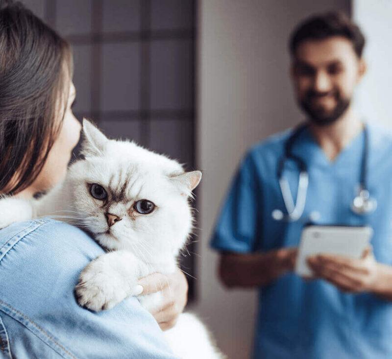 Cat owner holds her pet while talking to staff member.