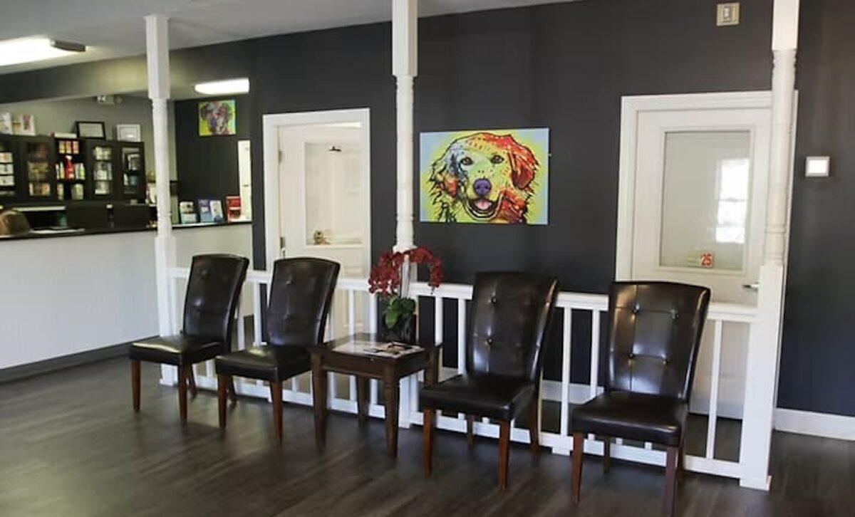 Rocky Creek Vet Office Interior